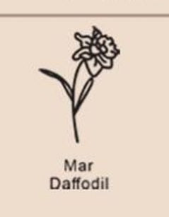 Birthday Flower Name Necklace